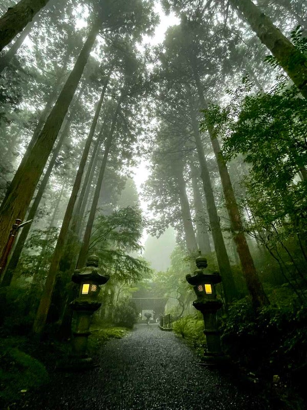 【栃木県内発】 開運日に行く!常陸3社巡り~御岩神社・大甕神社・泉神社~ 悪縁を断ち切り良縁を引き寄せる!?常陸の最強神秘探検ツアー!1
